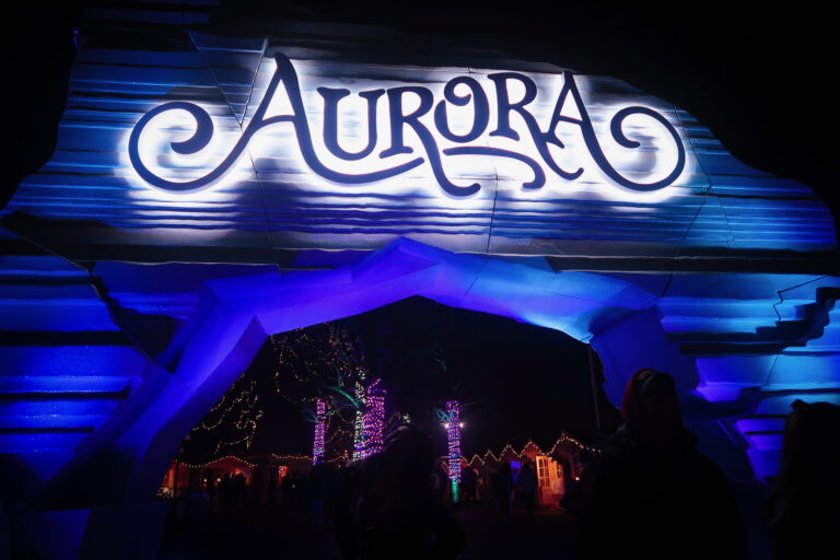 How to Have an Amazing Time at the Aurora Winter Festival