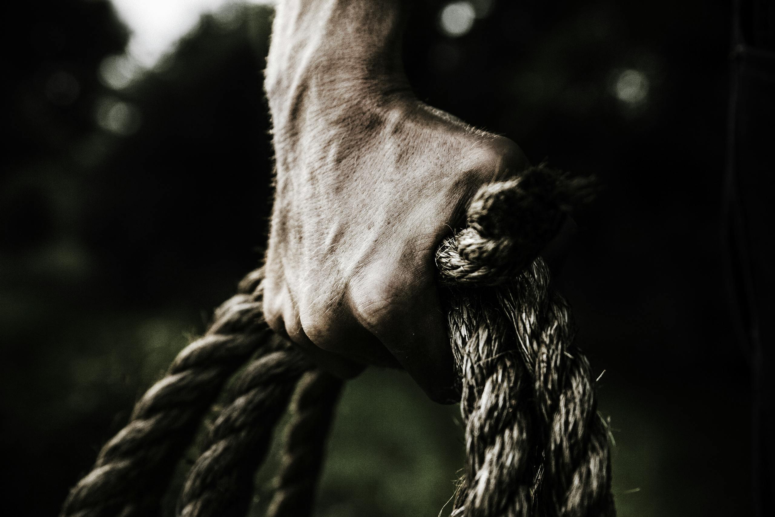 Man Holding Brown Rope